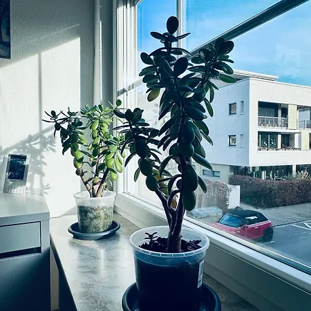 Apartmán Zentrale In Fuer 1-7 Personen