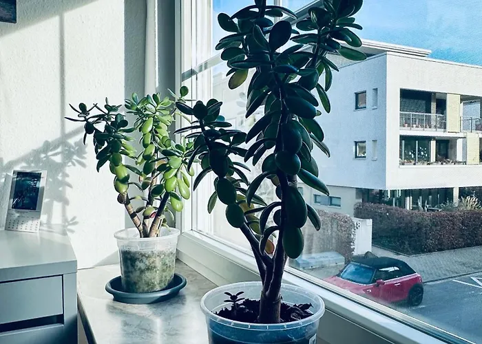 Apartmán Zentrale In Fuer 1-7 Personen